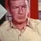 Richard Basehart filmleri