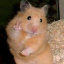 ToprakZiyagil adlı kullanıcı